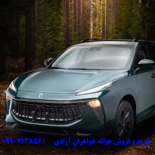 افزایش قیمت حواله لاماری در بازار آزاد