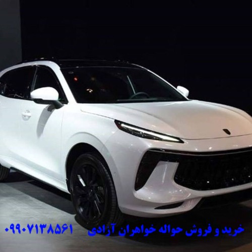 افزایش قیمت حواله لاماری در بازار آزاد